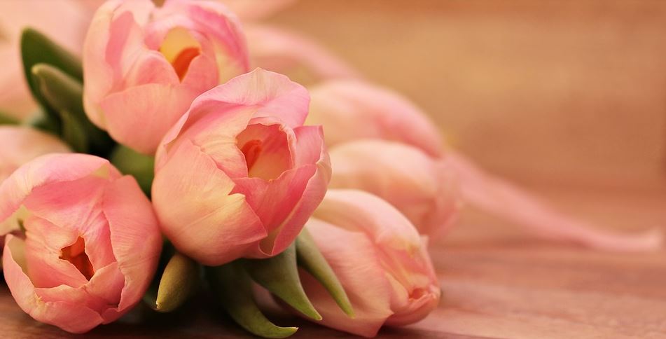 cremation services in Daytona Beach, FL